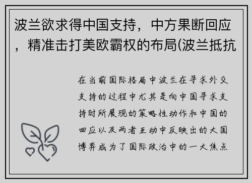 波兰欲求得中国支持，中方果断回应，精准击打美欧霸权的布局(波兰抵抗)