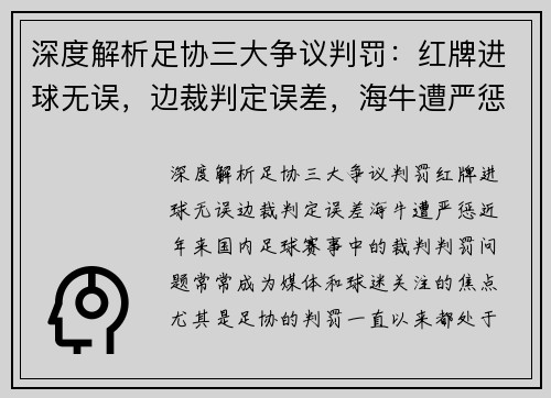 深度解析足协三大争议判罚：红牌进球无误，边裁判定误差，海牛遭严惩