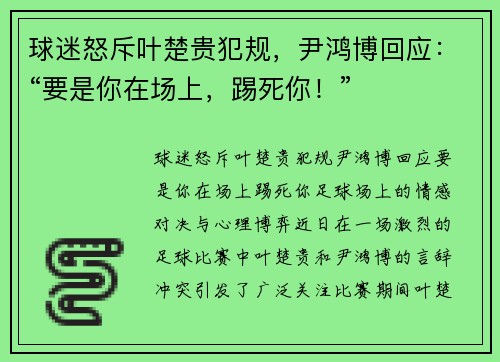 球迷怒斥叶楚贵犯规，尹鸿博回应：“要是你在场上，踢死你！”