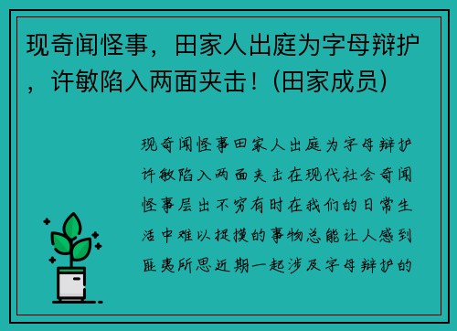 现奇闻怪事，田家人出庭为字母辩护，许敏陷入两面夹击！(田家成员)