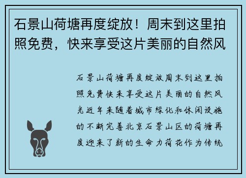 石景山荷塘再度绽放！周末到这里拍照免费，快来享受这片美丽的自然风光！