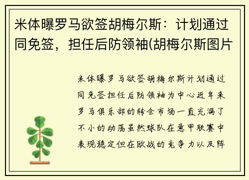 米体曝罗马欲签胡梅尔斯：计划通过同免签，担任后防领袖(胡梅尔斯图片)