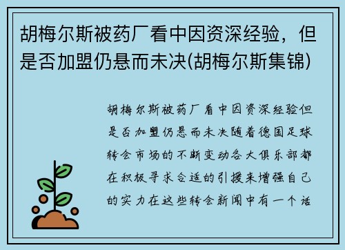 胡梅尔斯被药厂看中因资深经验，但是否加盟仍悬而未决(胡梅尔斯集锦)