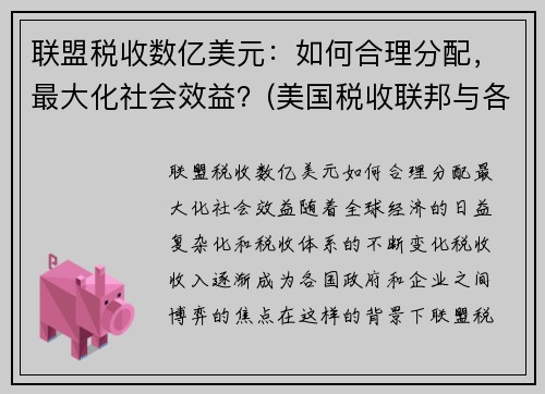 联盟税收数亿美元：如何合理分配，最大化社会效益？(美国税收联邦与各州)